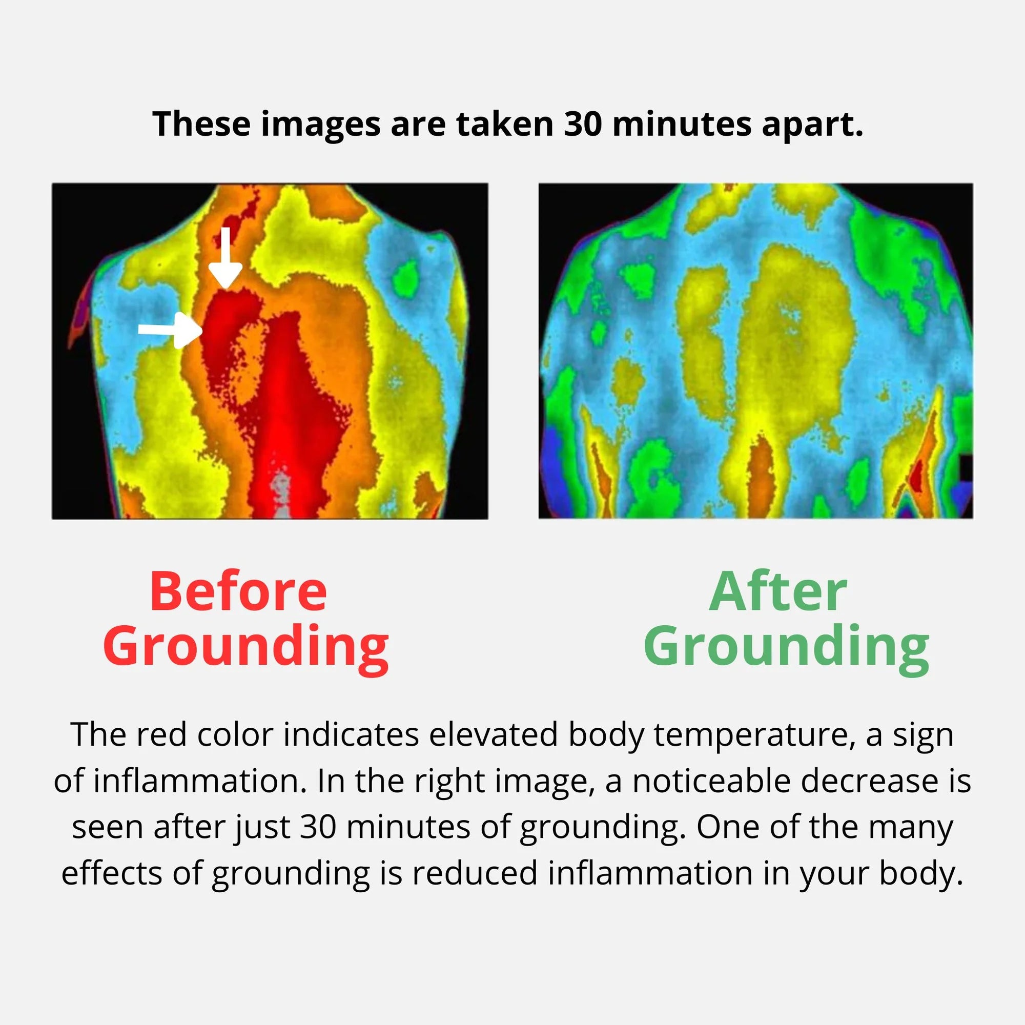Premium Grounding Yoga Mat
